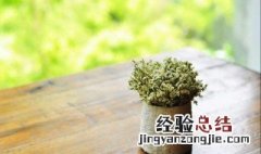 随遇而安的唯美句子 随遇而安的唯美句子朋友圈