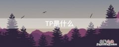 TP是什么