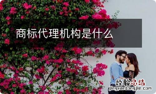 商标代理机构是什么