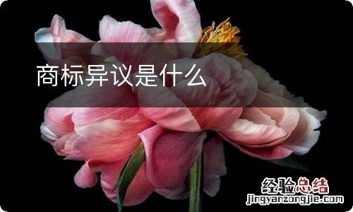 商标异议是什么