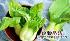 青菜种子怎么种植方法 青菜种子怎么种