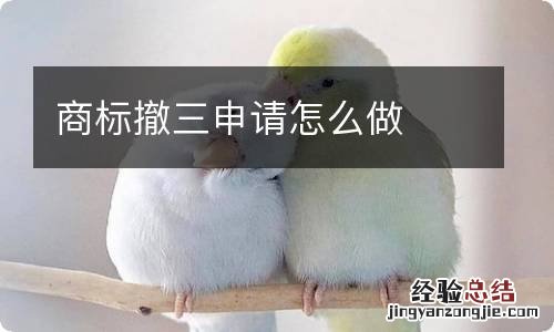 商标撤三申请怎么做