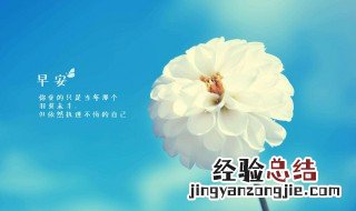 描写早晨的优美句子开头 描写早晨的优美句子
