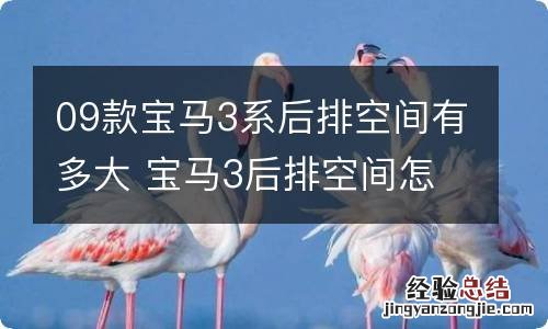 09款宝马3系后排空间有多大 宝马3后排空间怎样