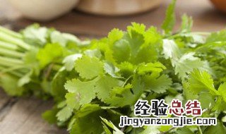 在家里种香菜该怎么种好 在家里种香菜该怎么种?