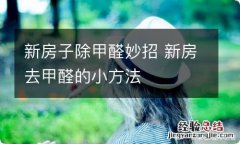 新房子除甲醛妙招 新房去甲醛的小方法