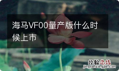 海马VF00量产版什么时候上市