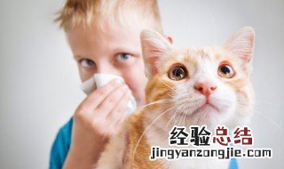 猫的一生有几个阶段 猫的寿命最多几年