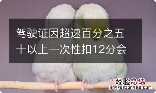 驾驶证因超速百分之五十以上一次性扣12分会被吊销吗