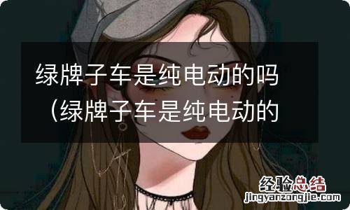 绿牌子车是纯电动的吗车怎么处理违章审车 绿牌子车是纯电动的吗