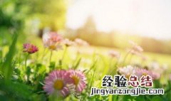 立春句子说说大全 立春句子说说