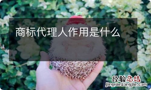商标代理人作用是什么