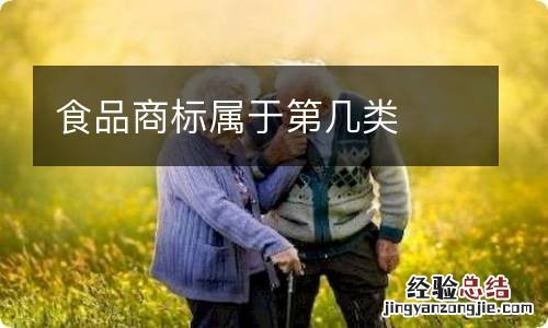 食品商标属于第几类