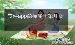 软件app商标属于第几类