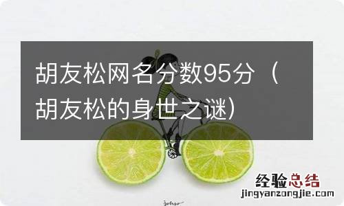 胡友松的身世之谜 胡友松网名分数95分