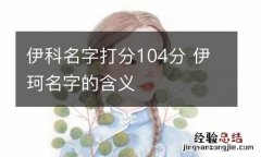 伊科名字打分104分 伊珂名字的含义