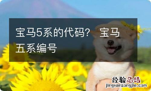 宝马5系的代码？ 宝马五系编号