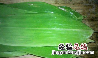 粽叶怎么洗 粽叶清洗后怎么处理 粽叶怎么洗