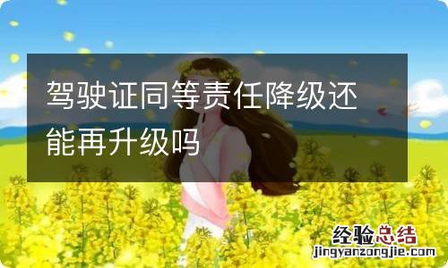 驾驶证同等责任降级还能再升级吗