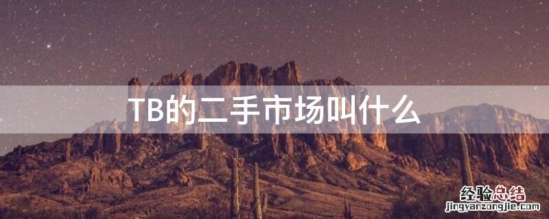 TB的二手市场叫什么