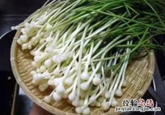 孕妇野菜能吃吗 孕妇不能吃的野菜有哪些