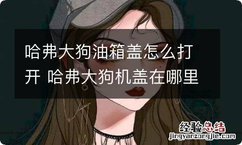 哈弗大狗油箱盖怎么打开 哈弗大狗机盖在哪里打开