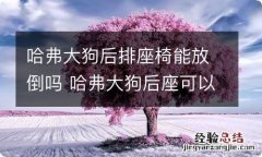 哈弗大狗后排座椅能放倒吗 哈弗大狗后座可以放下吗