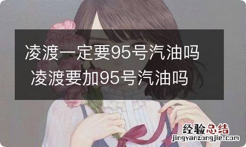 凌渡一定要95号汽油吗 凌渡要加95号汽油吗