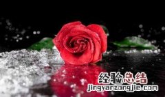 送女生花说点什么好 送女生花说什么好呢