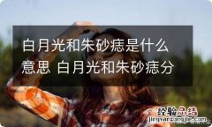 白月光和朱砂痣是什么意思 白月光和朱砂痣分别指什么