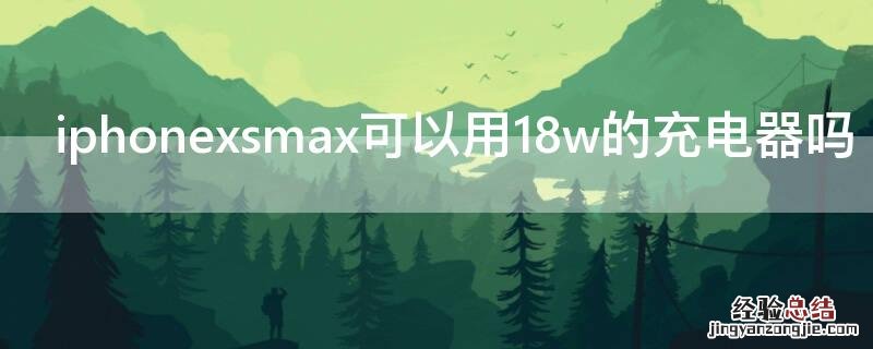 iPhonexsmax可以用18w的充电器吗