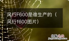 风行f600图片 风行F600是谁生产的