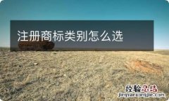 注册商标类别怎么选