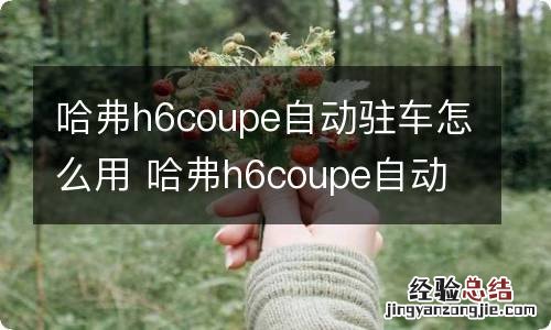 哈弗h6coupe自动驻车怎么用 哈弗h6coupe自动驻车故障