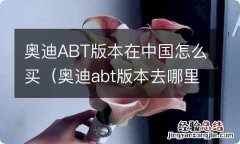 奥迪abt版本去哪里买 奥迪ABT版本在中国怎么买