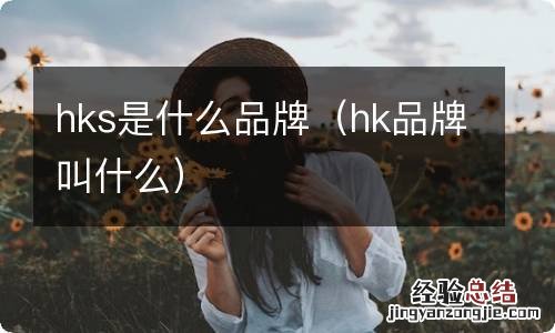hk品牌叫什么 hks是什么品牌