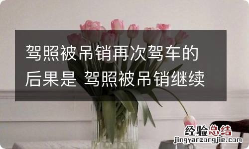 驾照被吊销再次驾车的后果是 驾照被吊销继续开车的后果