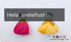 hellaflush Hella