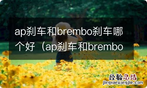 ap刹车和brembo刹车哪个更好 ap刹车和brembo刹车哪个好