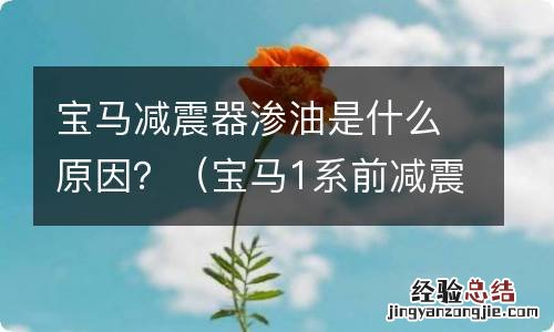 宝马1系前减震器渗油 宝马减震器渗油是什么原因？