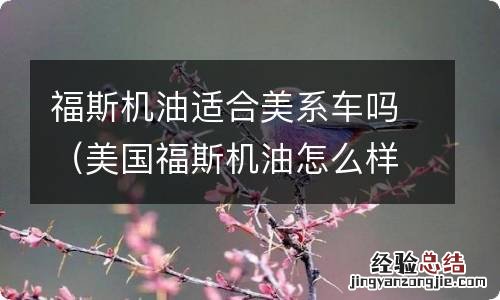 美国福斯机油怎么样 福斯机油适合美系车吗