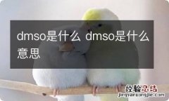 dmso是什么 dmso是什么意思