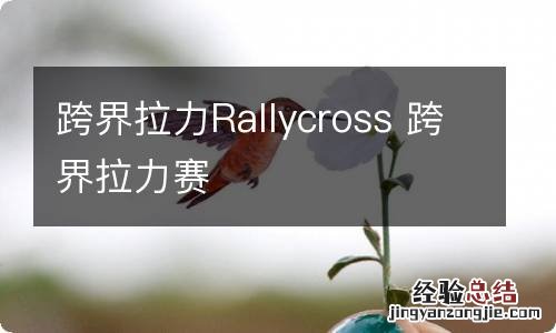 跨界拉力Rallycross 跨界拉力赛