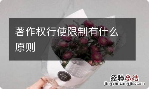 著作权行使限制有什么原则