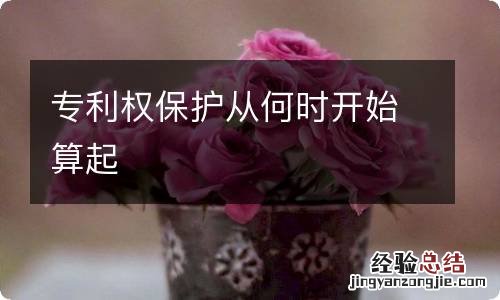 专利权保护从何时开始算起