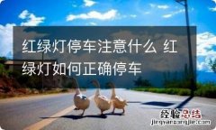 红绿灯停车注意什么 红绿灯如何正确停车