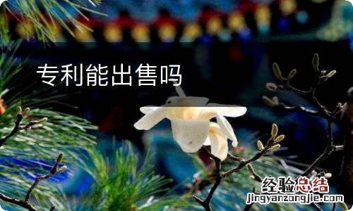 专利能出售吗