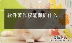 软件著作权能保护什么