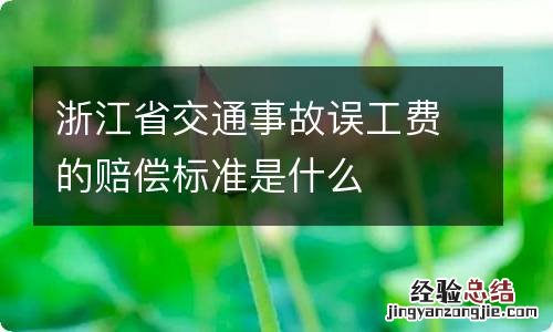 浙江省交通事故误工费的赔偿标准是什么