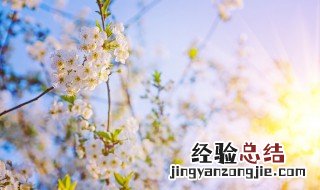 励志坚强说说心情短语 一个人坚强的说说
